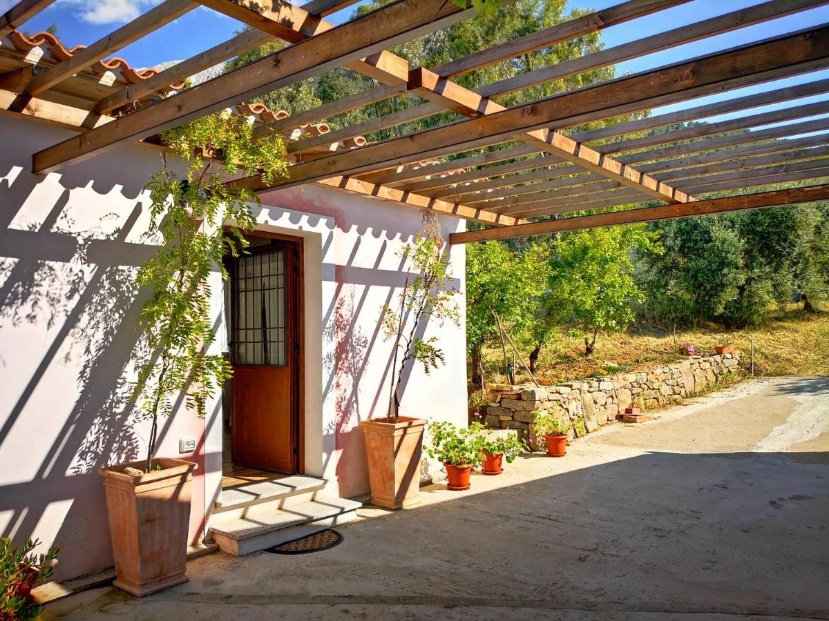 Villa Sa Pruna Oliena Exterior foto